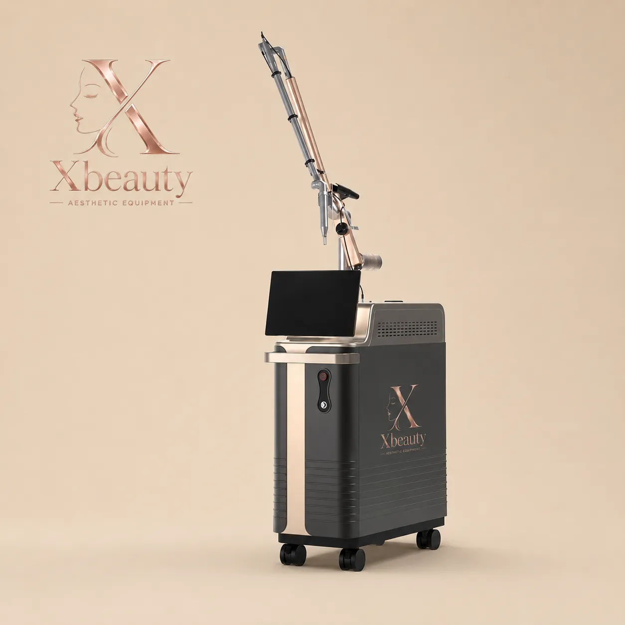 XPico 4D